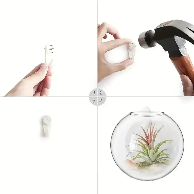 Clear Glass Wall Planter