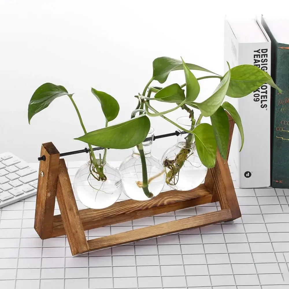 Wood Frame Glass Vase Set